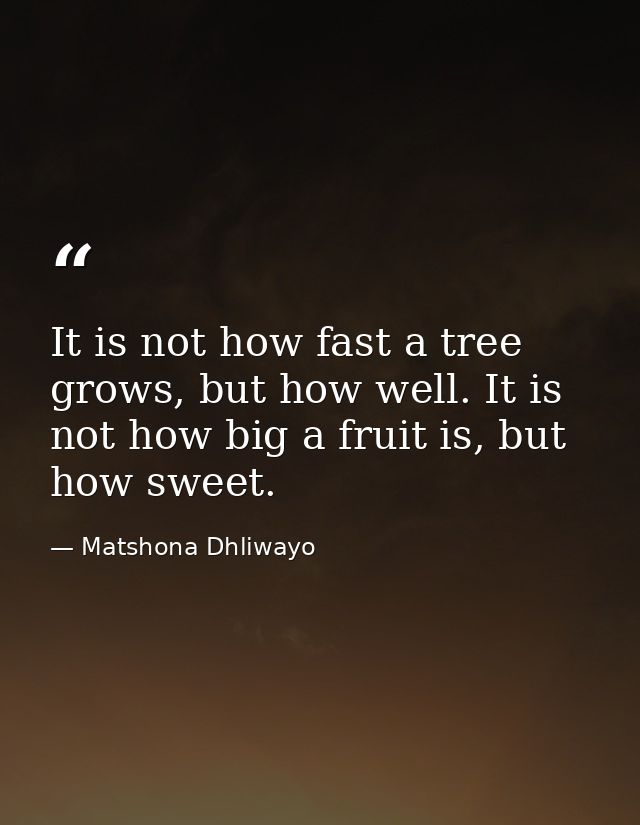 It is not how fast a tree grows, but how well. It is not how big a fruit is, but how sweet. — Matshona Dhliwayo