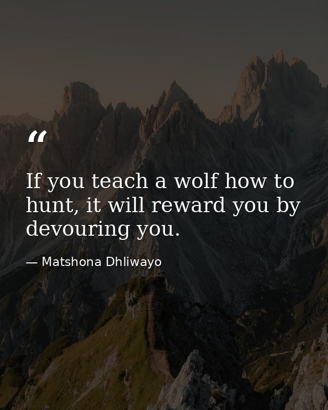 If you teach a wolf how to hunt, it will reward you by devouring you. — Matshona Dhliwayo