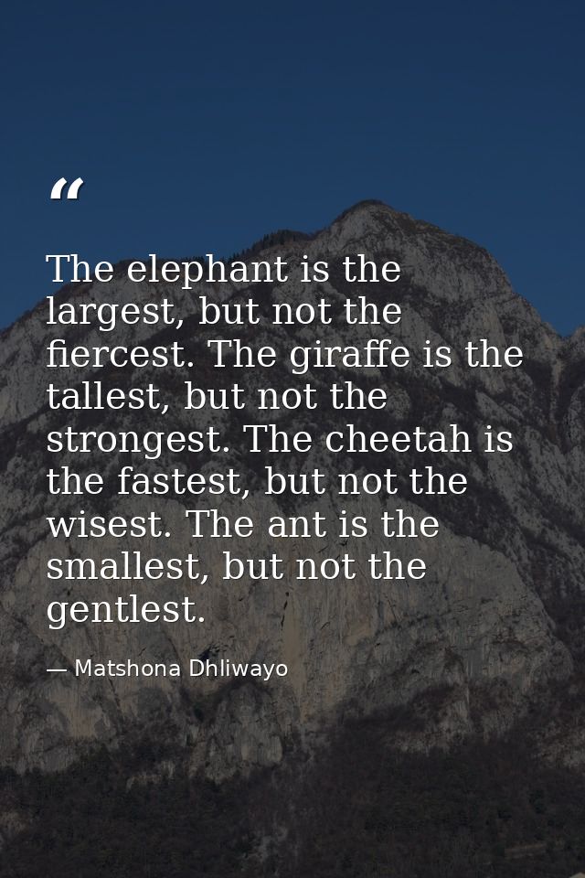The elephant is the largest, but not the fiercest. The giraffe is the tallest, but not the strongest. The cheetah is the — Matshona Dhliwayo