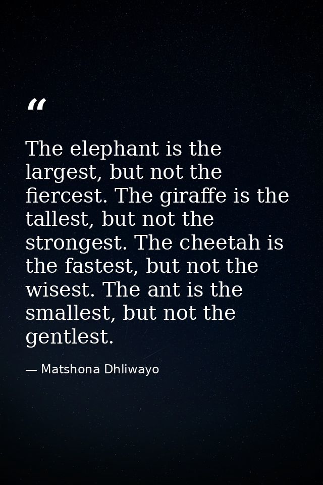 The elephant is the largest, but not the fiercest. The giraffe is the tallest, but not the strongest. The cheetah is the — Matshona Dhliwayo