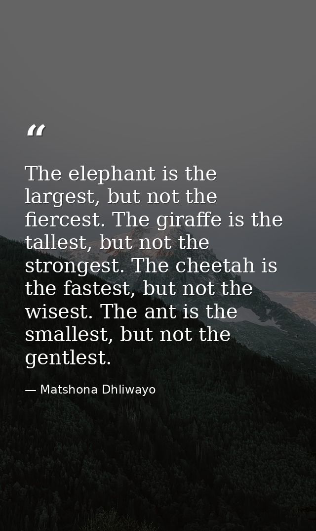 The elephant is the largest, but not the fiercest. The giraffe is the tallest, but not the strongest. The cheetah is the — Matshona Dhliwayo