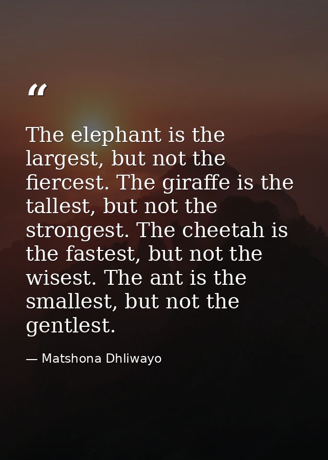 The elephant is the largest, but not the fiercest. The giraffe is the tallest, but not the strongest. The cheetah is the — Matshona Dhliwayo
