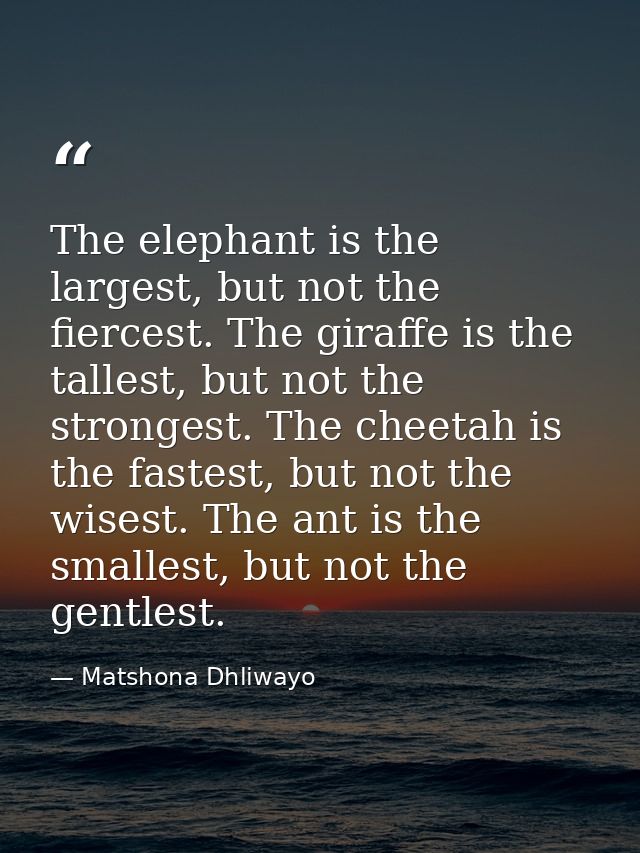 The elephant is the largest, but not the fiercest. The giraffe is the tallest, but not the strongest. The cheetah is the — Matshona Dhliwayo