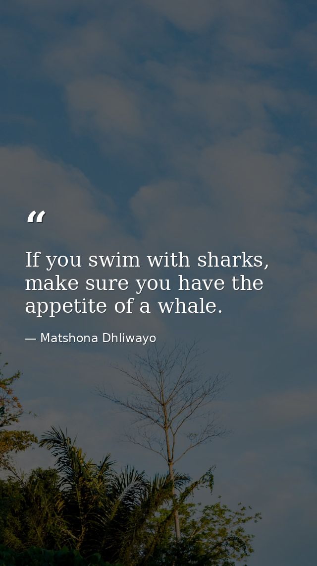 If you swim with sharks, make sure you have the appetite of a whale. — Matshona Dhliwayo
