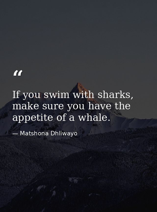 If you swim with sharks, make sure you have the appetite of a whale. — Matshona Dhliwayo