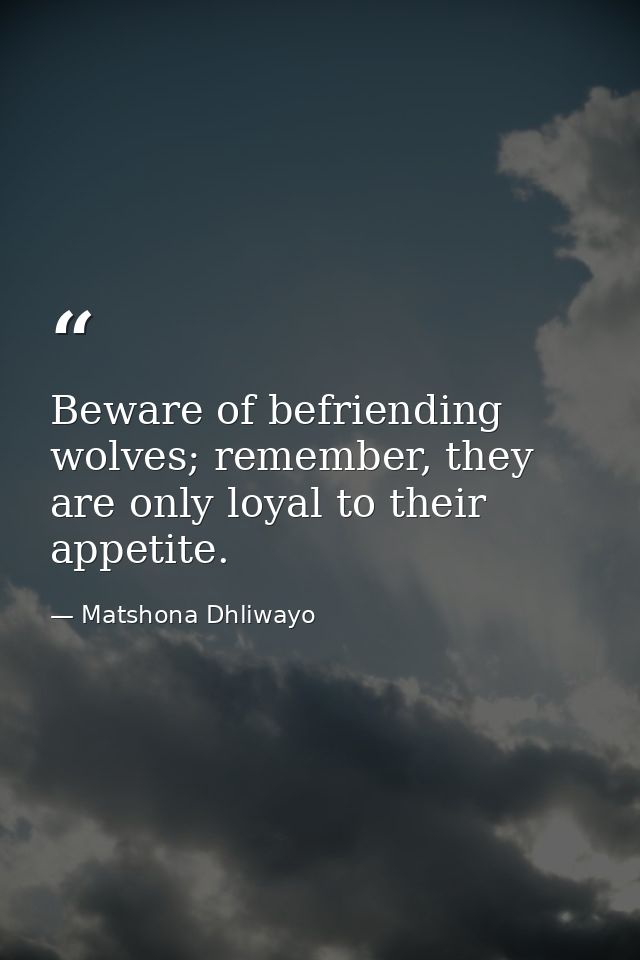 Beware of befriending wolves; remember, they are only loyal to their appetite. — Matshona Dhliwayo