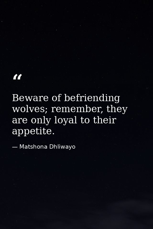 Beware of befriending wolves; remember, they are only loyal to their appetite. — Matshona Dhliwayo