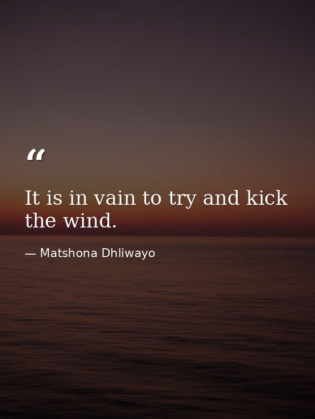 It is in vain to try and kick the wind. — Matshona Dhliwayo