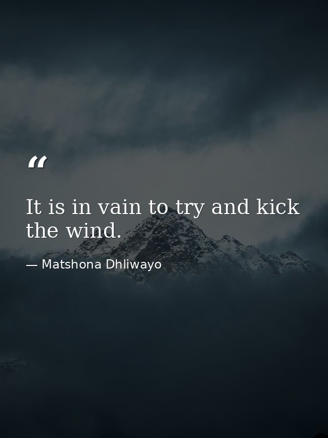It is in vain to try and kick the wind. — Matshona Dhliwayo