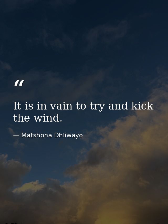It is in vain to try and kick the wind. — Matshona Dhliwayo