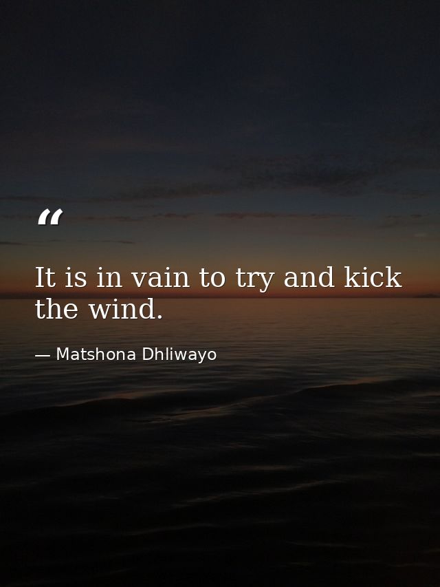 It is in vain to try and kick the wind. — Matshona Dhliwayo