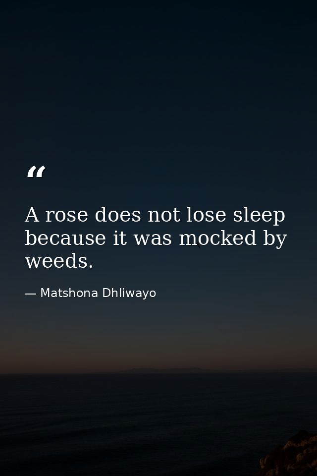 A rose does not lose sleep because it was mocked by weeds. — Matshona Dhliwayo