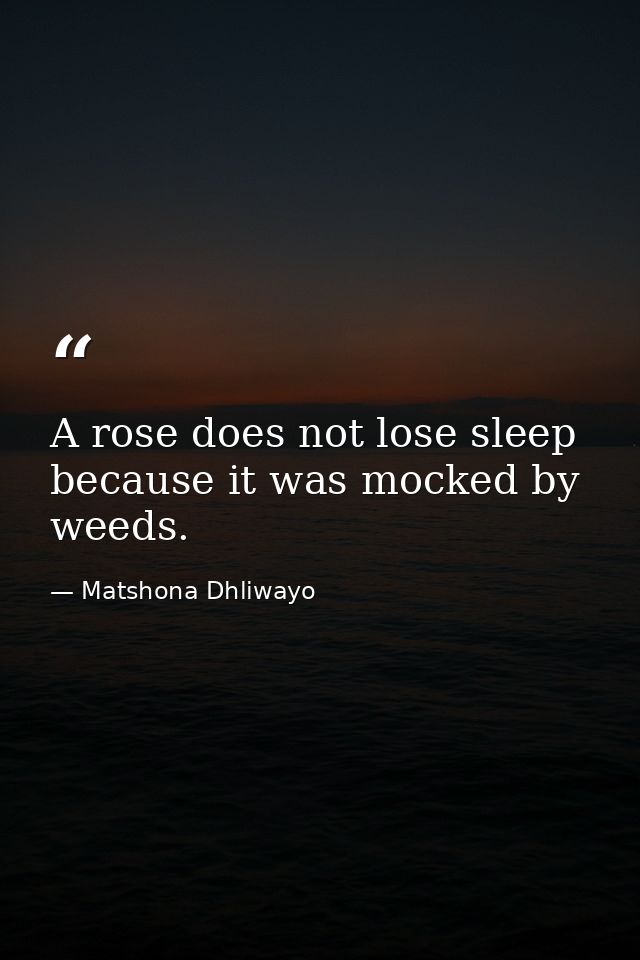 A rose does not lose sleep because it was mocked by weeds. — Matshona Dhliwayo
