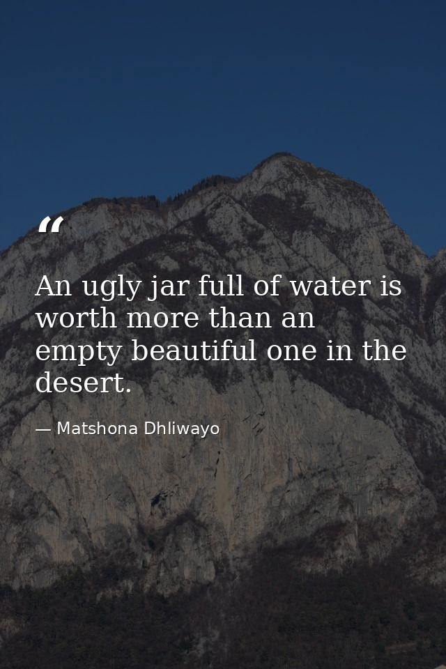 An ugly jar full of water is worth more than an empty beautiful one in the desert. — Matshona Dhliwayo