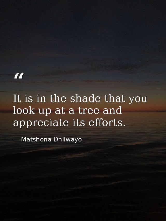 It is in the shade that you look up at a tree and appreciate its efforts. — Matshona Dhliwayo