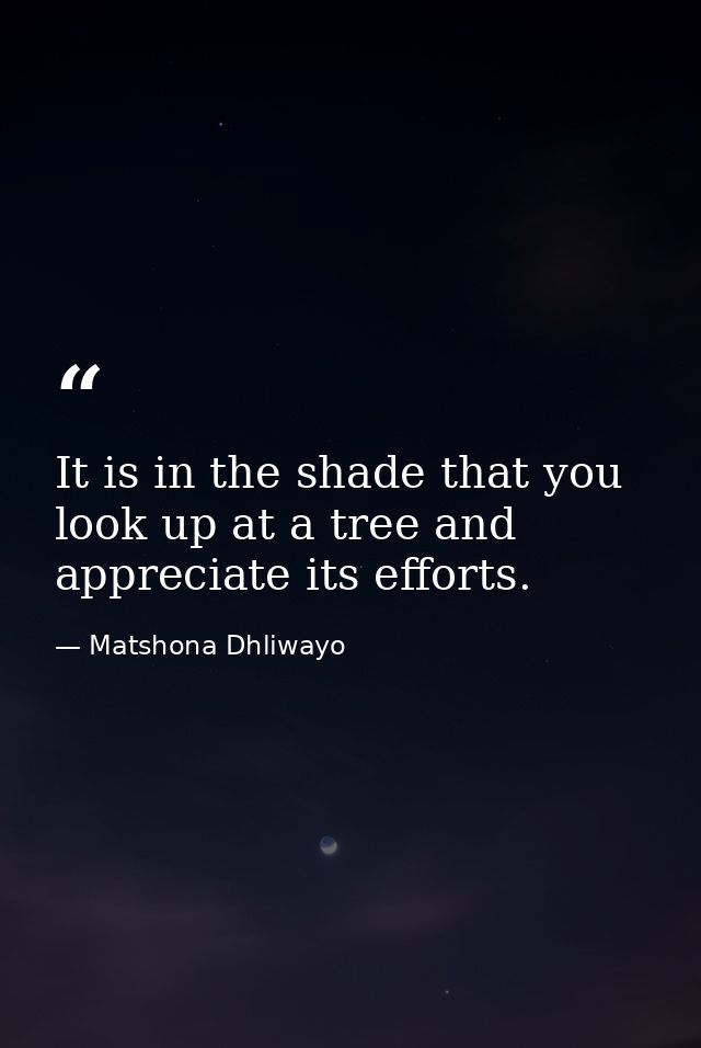 It is in the shade that you look up at a tree and appreciate its efforts. — Matshona Dhliwayo