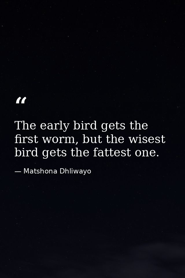 The early bird gets the first worm, but the wisest bird gets the fattest one. — Matshona Dhliwayo