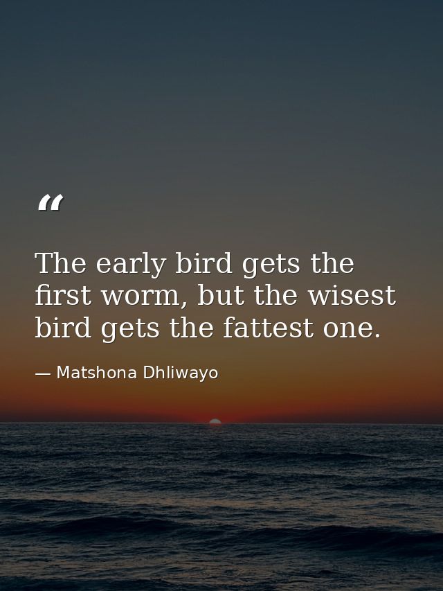 The early bird gets the first worm, but the wisest bird gets the fattest one. — Matshona Dhliwayo
