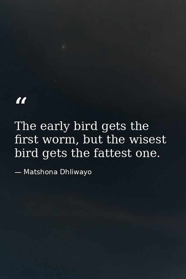 The early bird gets the first worm, but the wisest bird gets the fattest one. — Matshona Dhliwayo