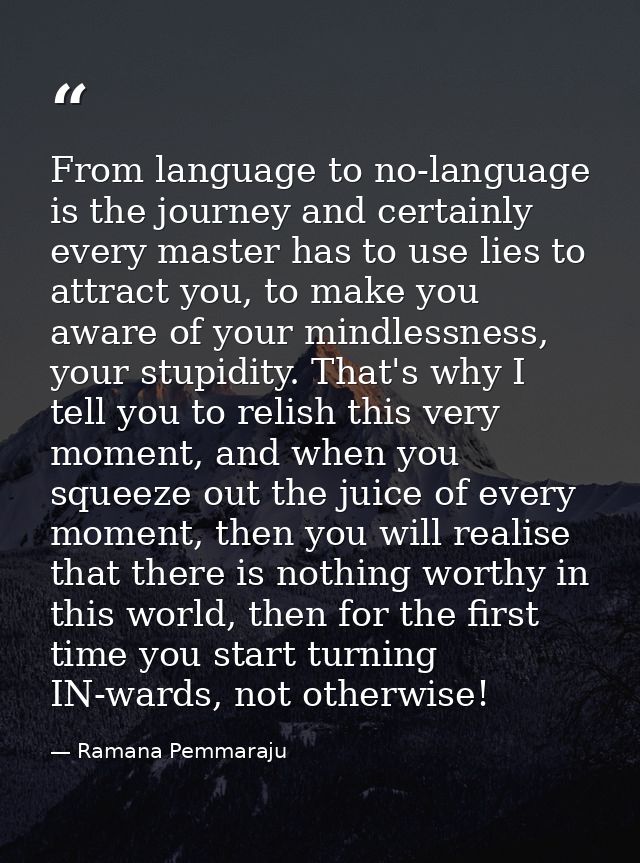 From language to no-language is the journey and certainly every master has to use lies to attract you, to make you aware — Ramana Pemmaraju