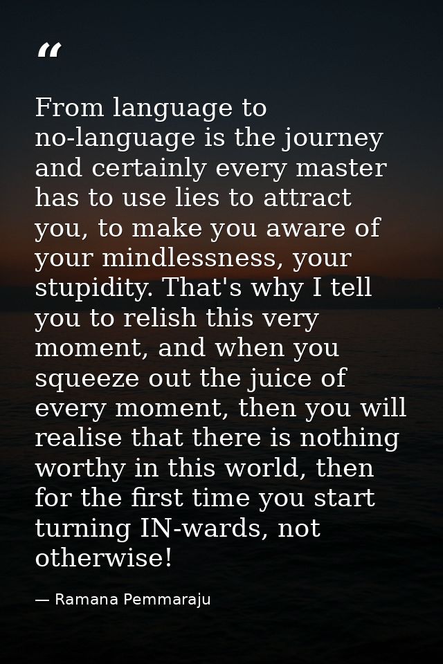 From language to no-language is the journey and certainly every master has to use lies to attract you, to make you aware — Ramana Pemmaraju