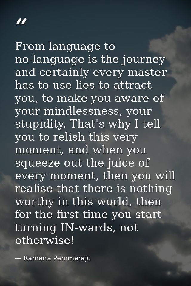 From language to no-language is the journey and certainly every master has to use lies to attract you, to make you aware — Ramana Pemmaraju