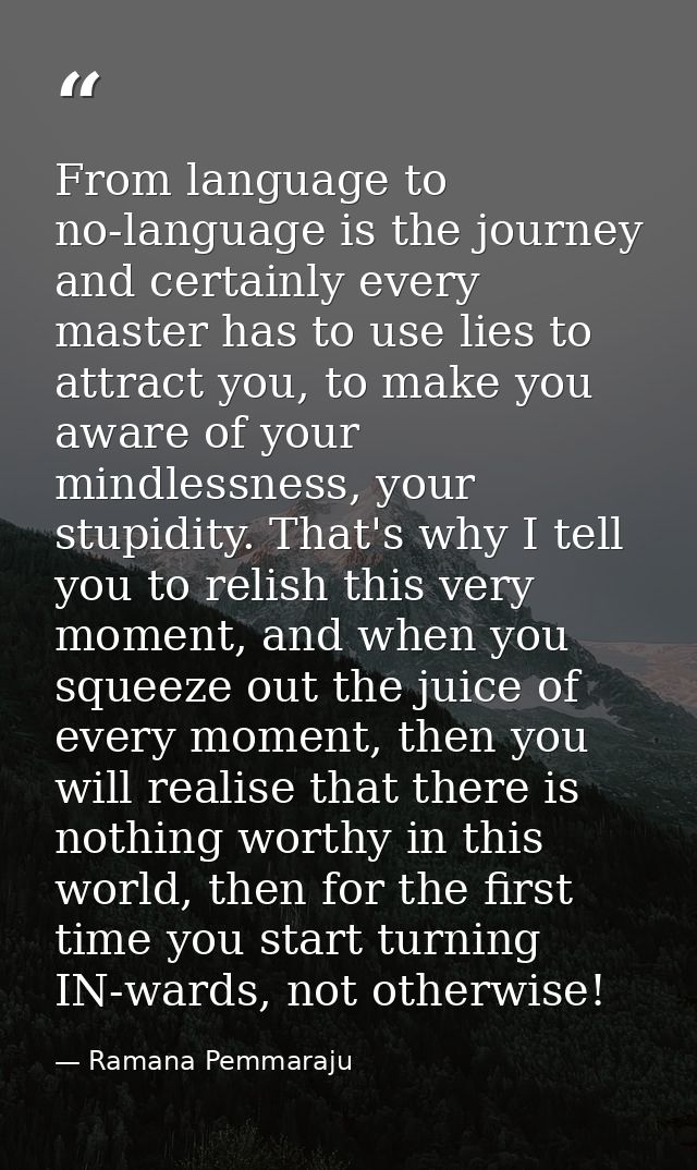 From language to no-language is the journey and certainly every master has to use lies to attract you, to make you aware — Ramana Pemmaraju