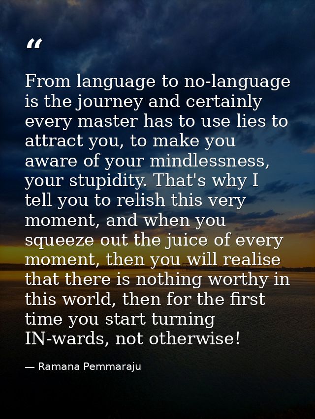 From language to no-language is the journey and certainly every master has to use lies to attract you, to make you aware — Ramana Pemmaraju