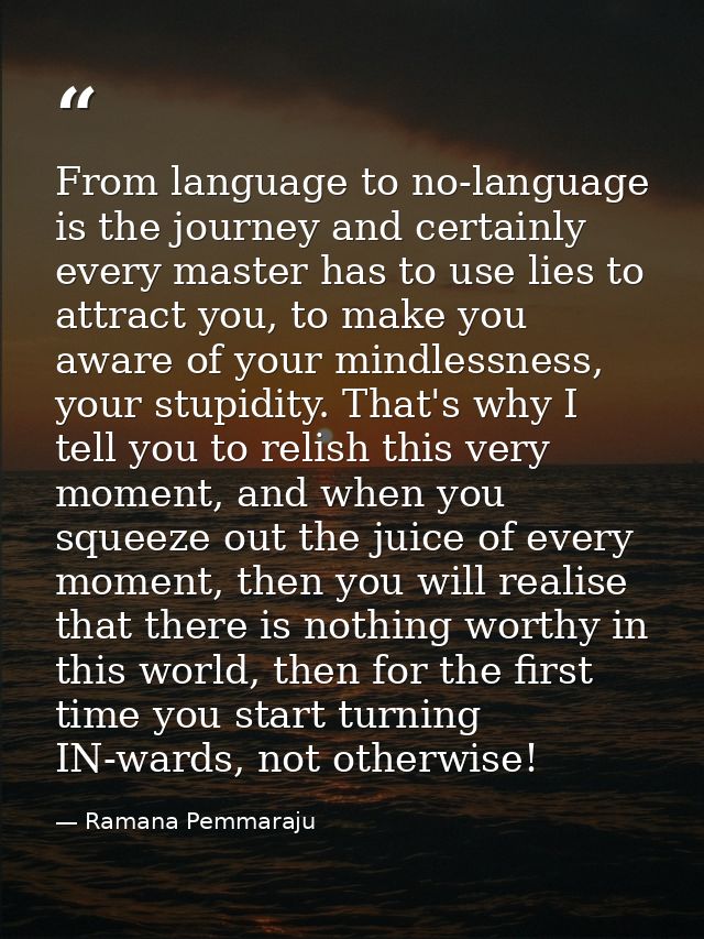 From language to no-language is the journey and certainly every master has to use lies to attract you, to make you aware — Ramana Pemmaraju