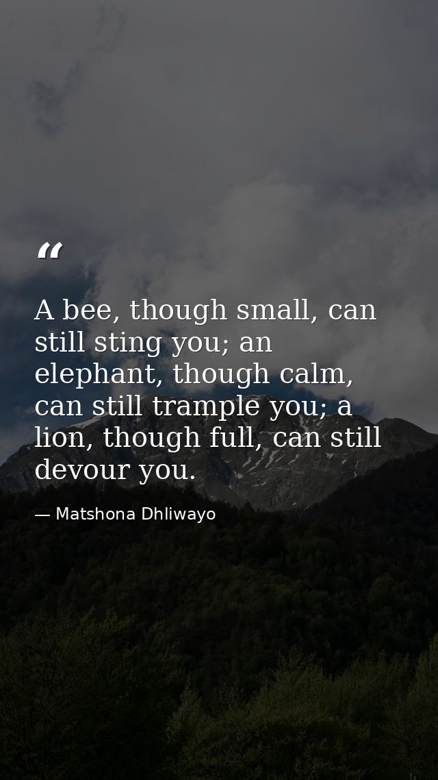 A bee, though small, can still sting you; an elephant, though calm, can still trample you; a lion, though full, can stil — Matshona Dhliwayo