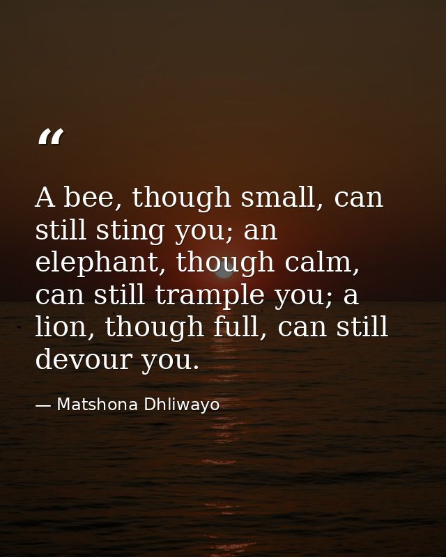 A bee, though small, can still sting you; an elephant, though calm, can still trample you; a lion, though full, can stil — Matshona Dhliwayo