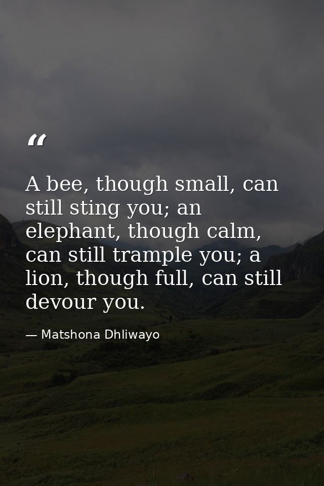 A bee, though small, can still sting you; an elephant, though calm, can still trample you; a lion, though full, can stil — Matshona Dhliwayo