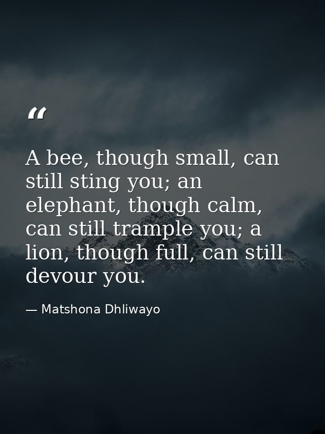 A bee, though small, can still sting you; an elephant, though calm, can still trample you; a lion, though full, can stil — Matshona Dhliwayo