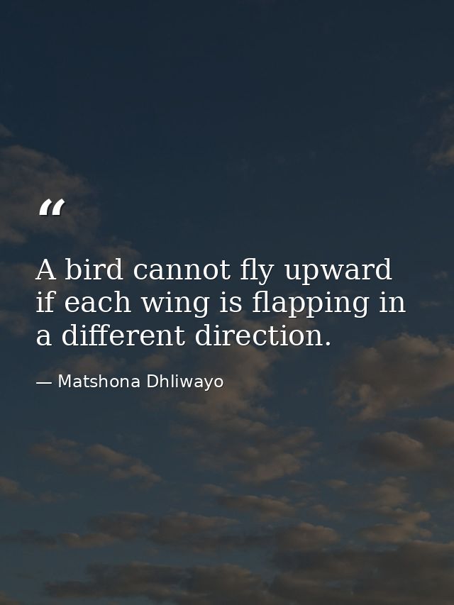 A bird cannot fly upward if each wing is flapping in a different direction. — Matshona Dhliwayo