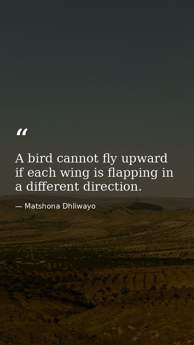 A bird cannot fly upward if each wing is flapping in a different direction. — Matshona Dhliwayo