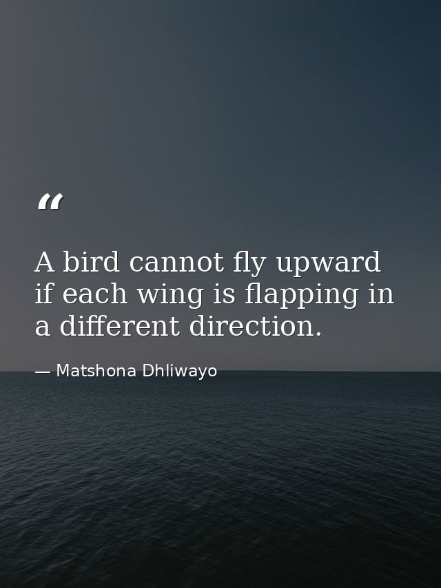 A bird cannot fly upward if each wing is flapping in a different direction. — Matshona Dhliwayo