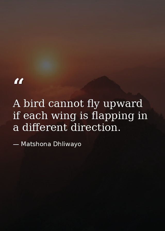 A bird cannot fly upward if each wing is flapping in a different direction. — Matshona Dhliwayo