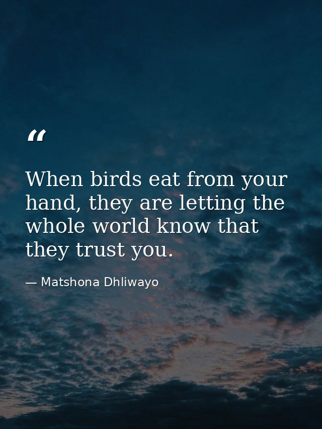 When birds eat from your hand, they are letting the whole world know that they trust you. — Matshona Dhliwayo