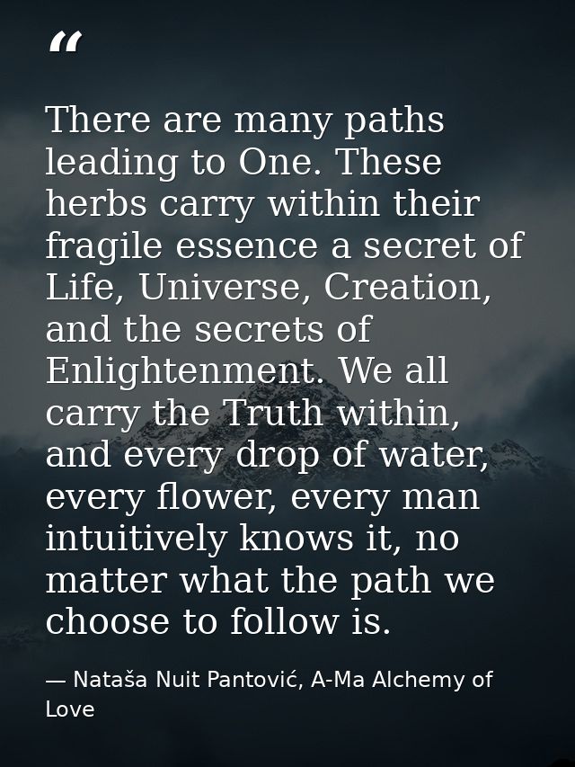 There are many paths leading to One. These herbs carry within their fragile essence a secret of Life, Universe, Creation — Nataša Nuit Pantović, A-Ma Alchemy of Love