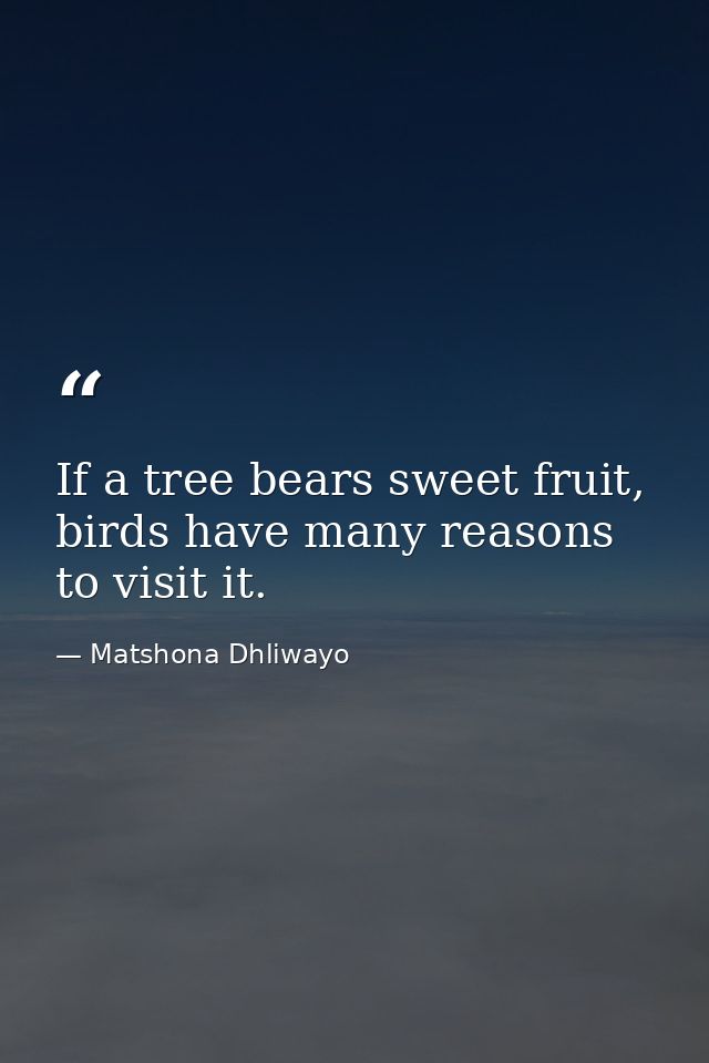 If a tree bears sweet fruit, birds have many reasons to visit it. — Matshona Dhliwayo