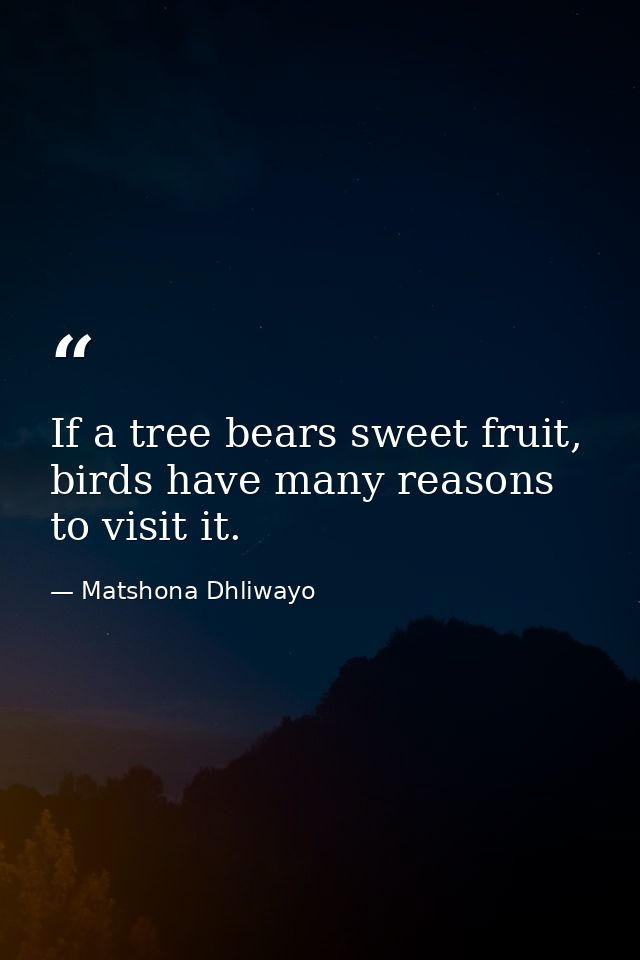 If a tree bears sweet fruit, birds have many reasons to visit it. — Matshona Dhliwayo