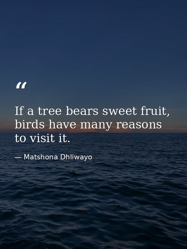 If a tree bears sweet fruit, birds have many reasons to visit it. — Matshona Dhliwayo