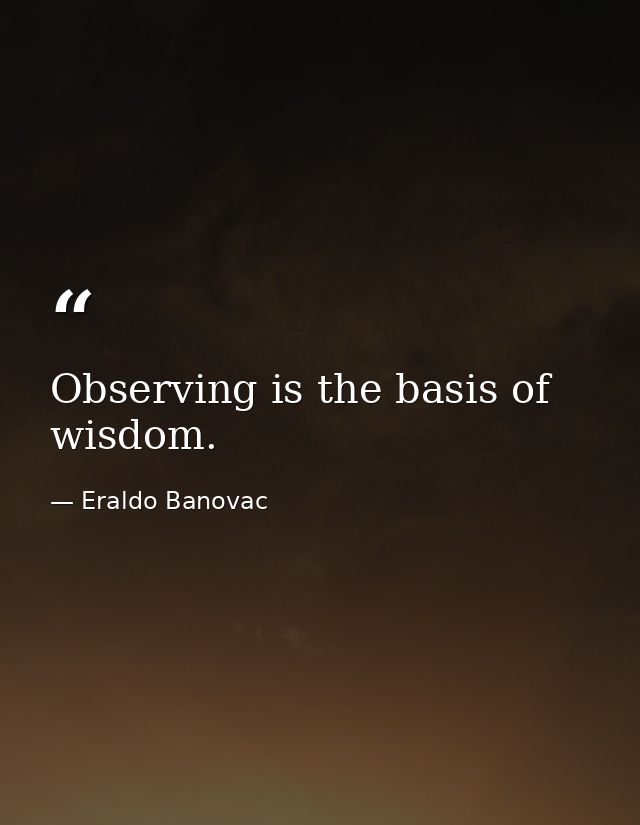 Observing is the basis of wisdom. — Eraldo Banovac