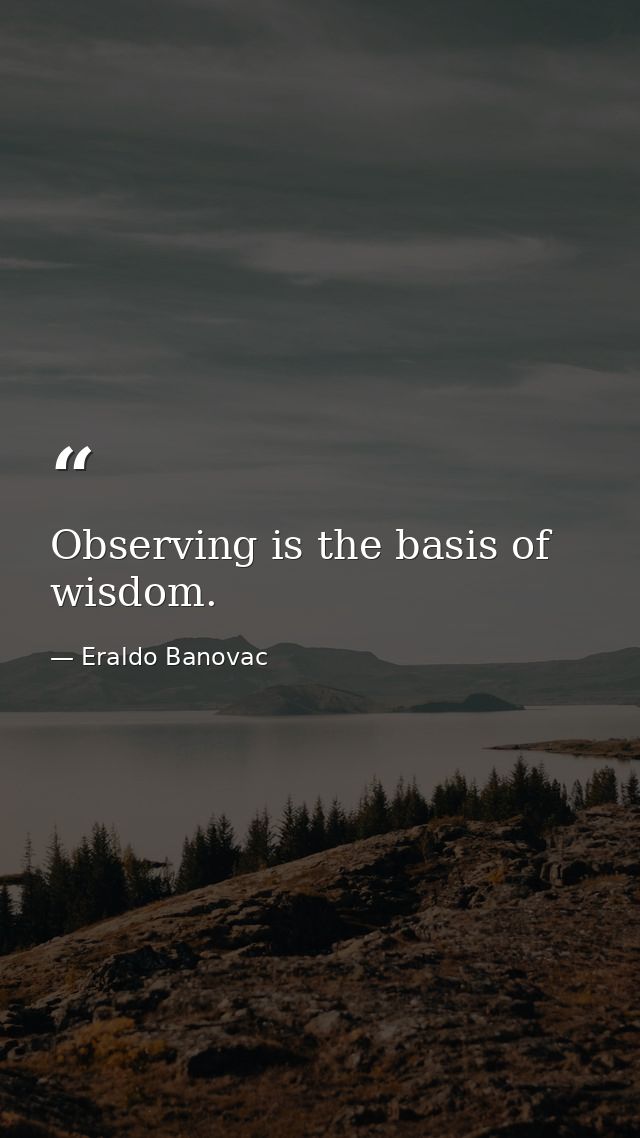 Observing is the basis of wisdom. — Eraldo Banovac