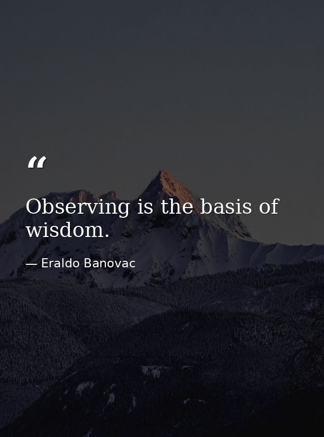Observing is the basis of wisdom. — Eraldo Banovac