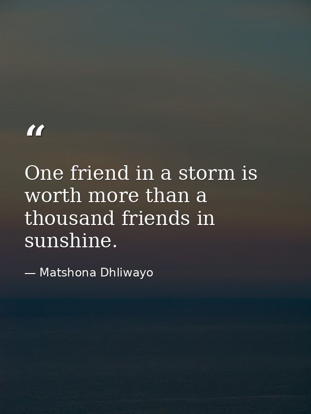 One friend in a storm is worth more than a thousand friends in sunshine. — Matshona Dhliwayo