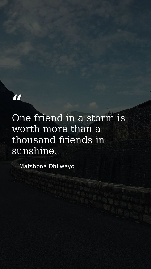 One friend in a storm is worth more than a thousand friends in sunshine. — Matshona Dhliwayo
