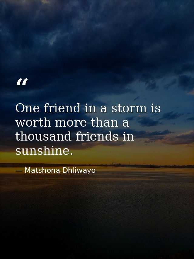 One friend in a storm is worth more than a thousand friends in sunshine. — Matshona Dhliwayo