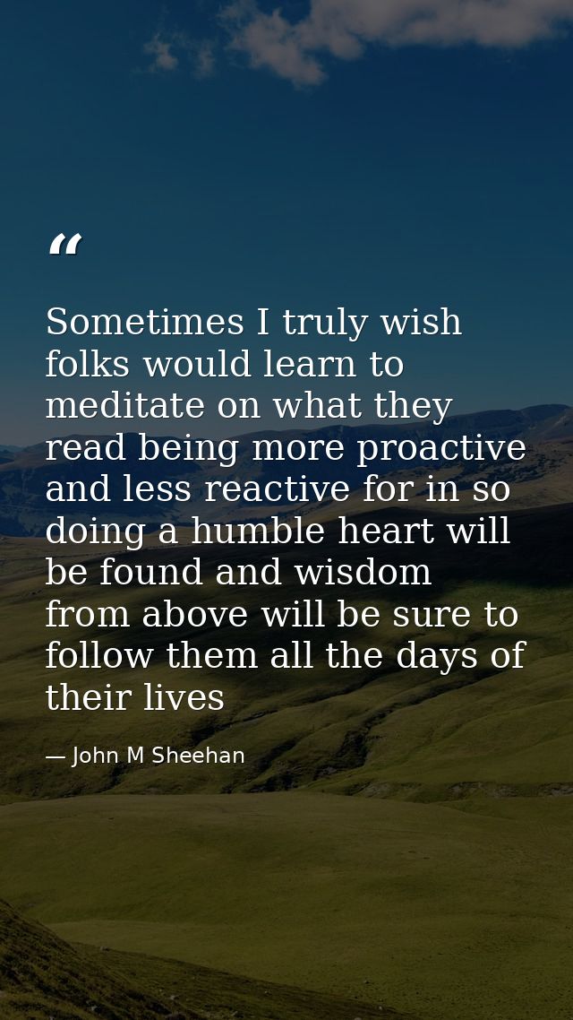 Sometimes I truly wish folks would learn to meditate on what they read being more proactive and less reactive for in so  — John M Sheehan