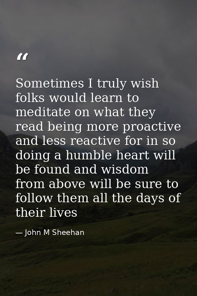 Sometimes I truly wish folks would learn to meditate on what they read being more proactive and less reactive for in so  — John M Sheehan